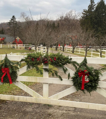 Willow Walker Farm