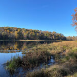 Highland Lakes State Park