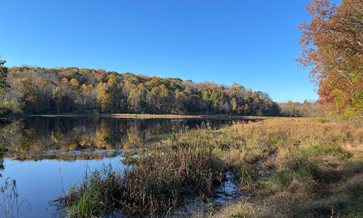 Highland Lakes State Park