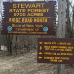 Stewert State Forest