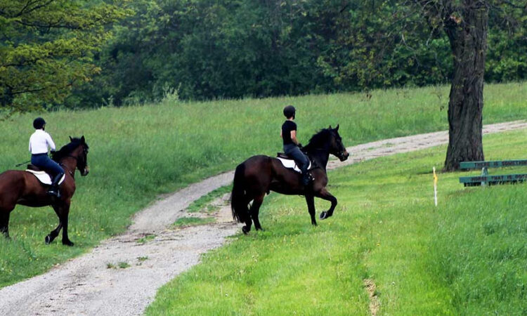 Wethersfield Estate and Garden