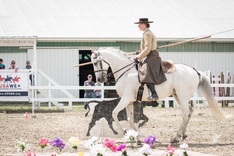 Working Equitation Clinic with Stephanie Hayes