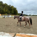 Tymor Equestrian Center Fall Show