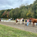 Tymor Equestrian Center Fall Show