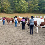 Tymor Equestrian Center Fall Show Showmanship