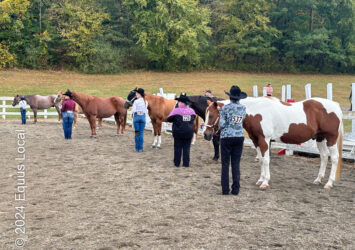 Tymor Equestrian Center Fall Show Showmanship