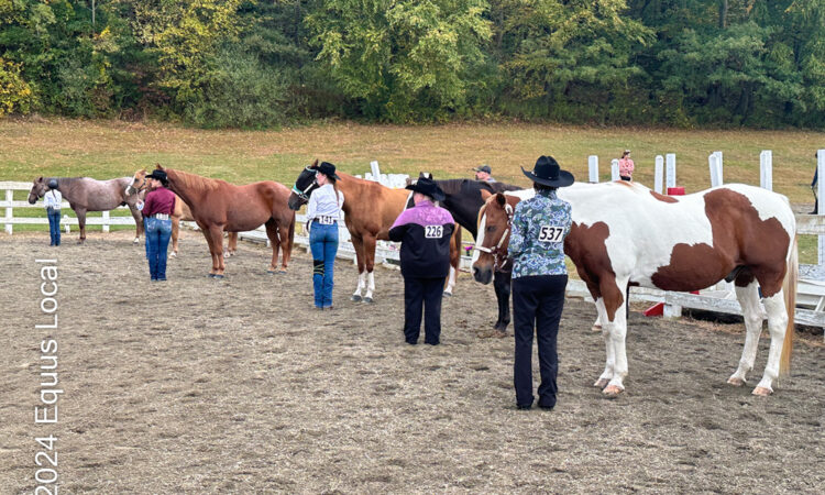 Tymor Equestrian Center Fall Show Showmanship