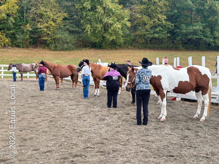 Tymor Equestrian Center Fall Show Showmanship