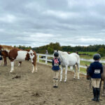 Tymor Equestrian Center Fall Show Showmanship