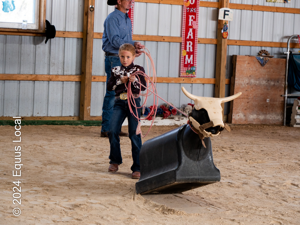 Roping 101 event at JL Performance Horses