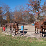 Roping 101 event at JL Performance Horses