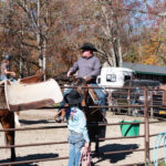 Roping 101 event at JL Performance Horses