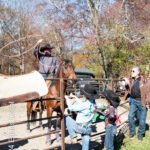 Roping 101 event at JL Performance Horses