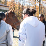 Roping 101 event at JL Performance Horses