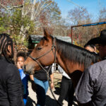 Roping 101 event at JL Performance Horses