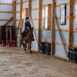 Roping 101 event at JL Performance Horses