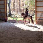 Roping 101 event at JL Performance Horses