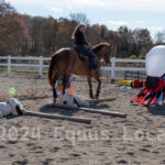 Ulster County Horse Council Horse Show