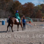 Ulster County Horse Council Horse Show