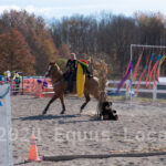 Ulster County Horse Council Horse Show