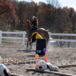 Ulster County Horse Council Horse Show