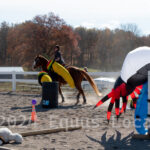 Ulster County Horse Council Horse Show