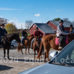 Ulster County Horse Council Horse Show