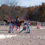 Ulster County Horse Council Horse Show