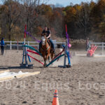 Ulster County Horse Council Horse Show