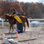 Ulster County Horse Council Horse Show