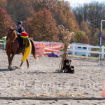 Ulster County Horse Council Horse Show