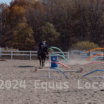 Ulster County Horse Council Horse Show