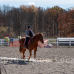 Ulster County Horse Council Horse Show