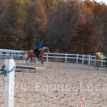 Ulster County Horse Council Horse Show