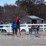 Ulster County Horse Council Horse Show