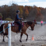 Ulster County Horse Council Horse Show