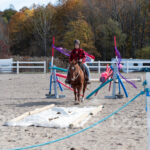 Ulster County Horse Council Horse Show