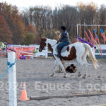 Ulster County Horse Council Horse Show