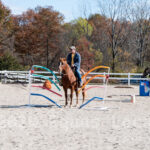 Ulster County Horse Council Horse Show