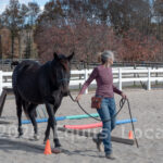 Ulster County Horse Council Horse Show