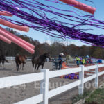 Ulster County Horse Council Horse Show