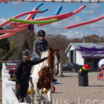 Ulster County Horse Council Horse Show