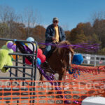 Ulster County Horse Council Horse Show