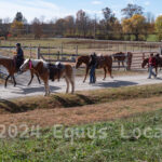 Ulster County Horse Council Horse Show