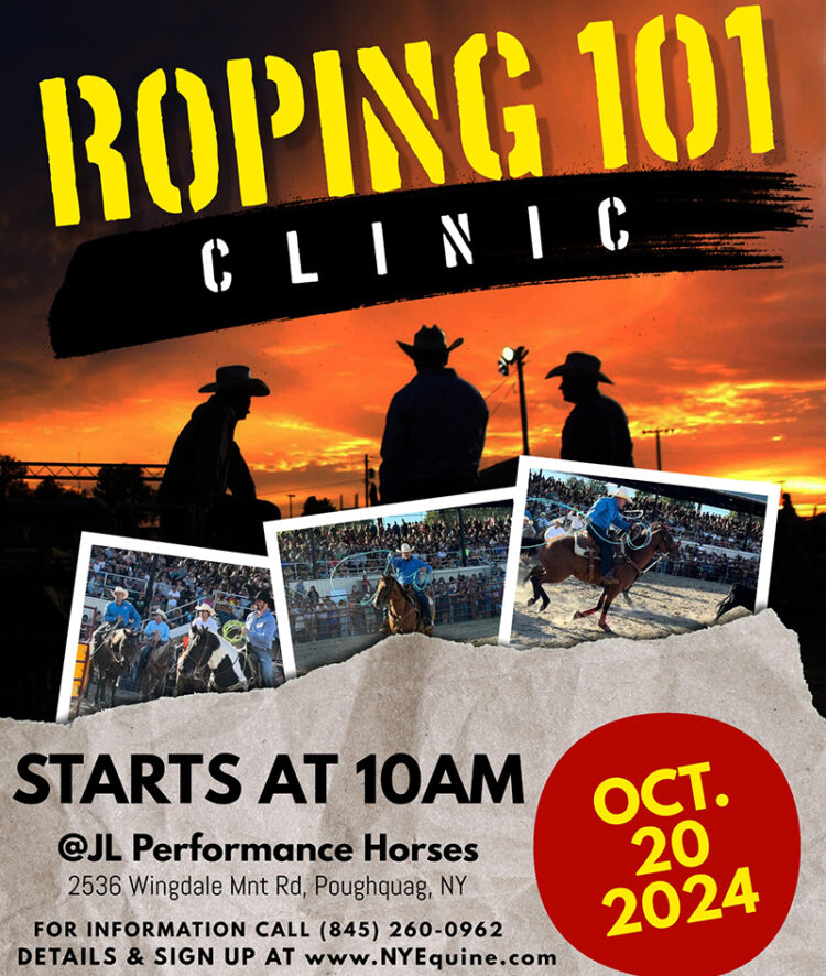 Roping 101 @ JL Performance Horses