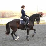 Charell Garcia | Maplewood Warmbloods