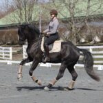 Charell Garcia | Maplewood Warmbloods