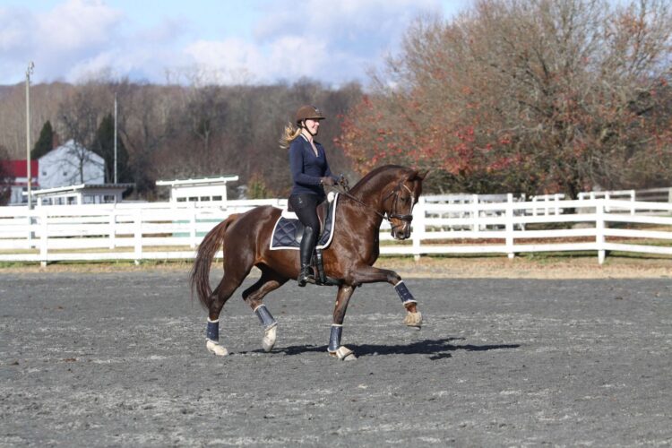 Charell Garcia | Maplewood Warmbloods