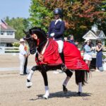 Charell Garcia | Maplewood Warmbloods